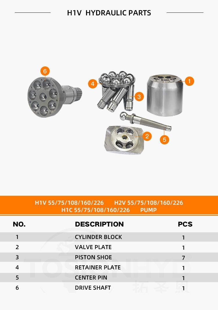 H1V H2V 55/75/108/160/226 H1c 55/75/108/160/226 H1c55 H1c75 H1c108 H1c160 H1c226 Hydraulic Pump Parts with Italy Sam Spare Repair Kits