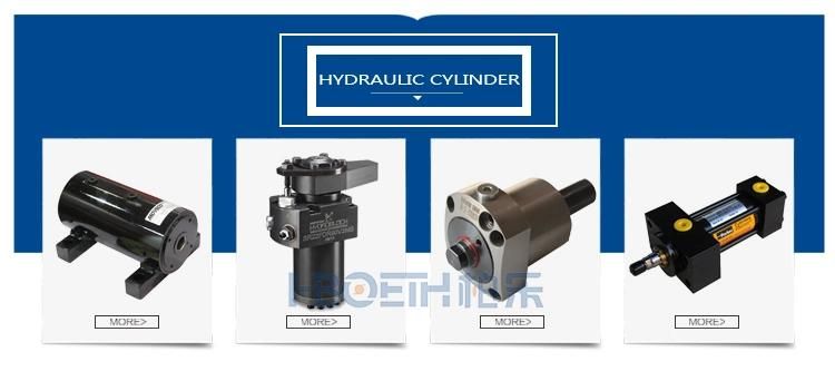 Hboeth Helac Helical Hydraulicrotary Actuators L10 L20 T20 L30 L10-1.7 3.0 5.5 9.5 15 25 360° Rotation at Any Angle Hydraulic Cylinder