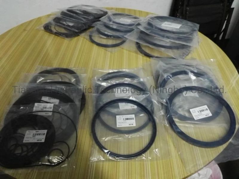 Hydraulic Seal Spare Parts, Hydraulic Repair Kits for Hagglunds Ca50 Ca70 Ca100 Ca140 Ca210 Radial Piston Hydraulic Motor From Chinese Factory.