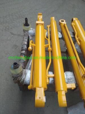 Excavator Cylinder Parts for Komatsu Volvo Doosan Hyundai Cat Liugong