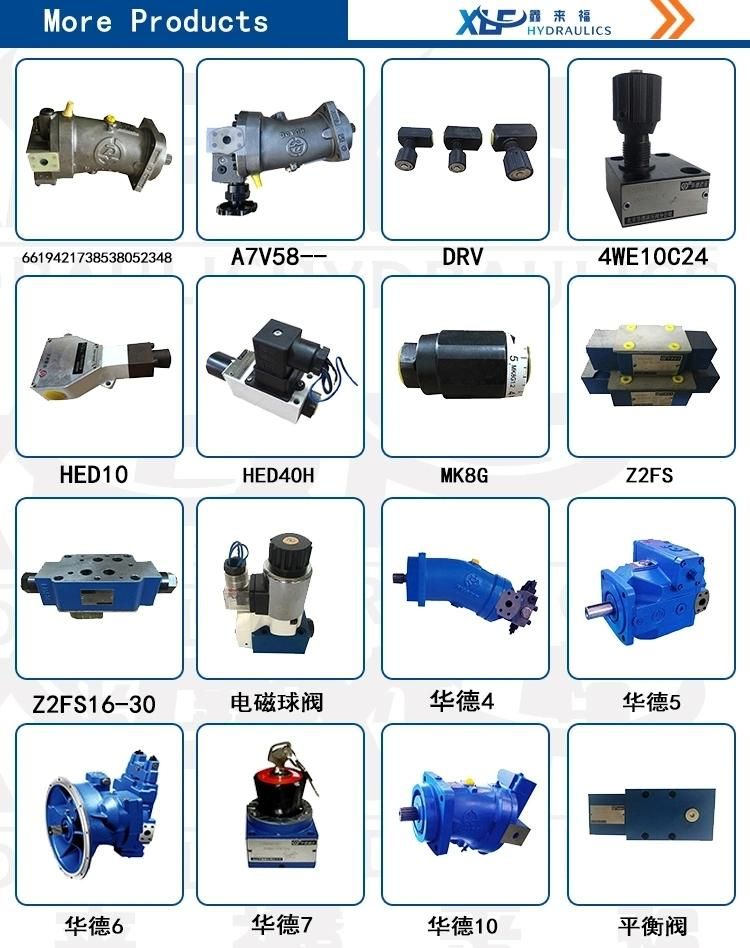 Quantitative Plunger Pump and Motor A2f107 A2f125 A2f160 A2f200 A2f250 A2f500