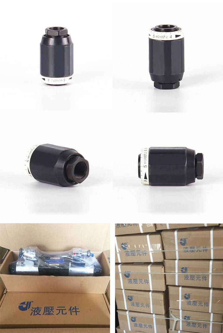 Rexroth Mk Mg Hydraulic Throttle Check Valves