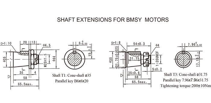 Chinese Motors Factory BMS Hydraulic Motor