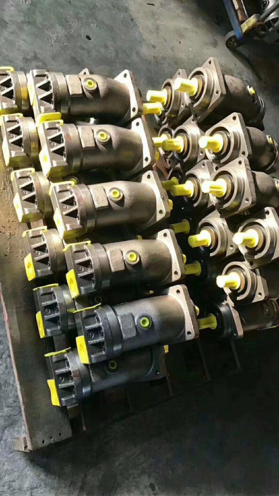 Rexroth Piston Pump Parts Hydraulic Parts A2f12