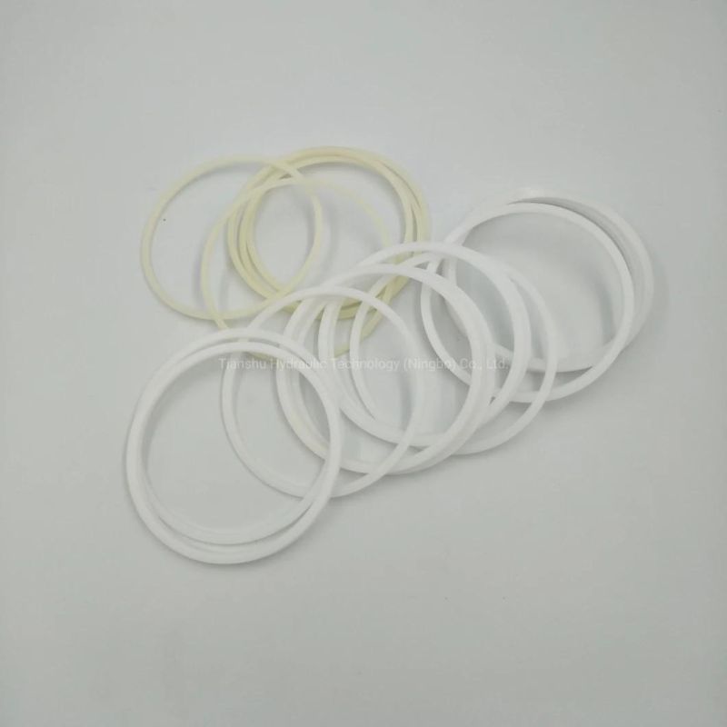 Hydraulic Spare Parts, Shaft Lip Seal, Piston Ring, Wearing Part, Hydraulic Seal for Hagglunds Hydraulic Motor.