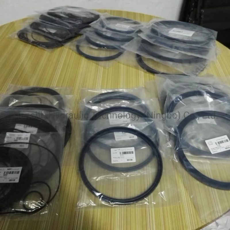 Hydraulic Spare Parts, Fitting Seal Parts, Repair Kits, O Ring, Piston Ring, Shaft Lip Seal for Hagglunds Radial Piston Hydraulic Motor.