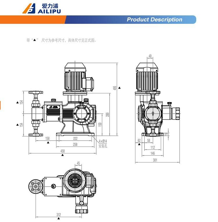 Jym1.6 Hydraulic Diaphragm Pump Metering Pump Dosing Pump Chemical Pump