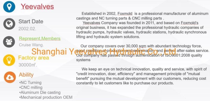 Sun Rexroth Hawe Cartridge Valve Hydraulic Valves with CNC Machining Turning Drilling