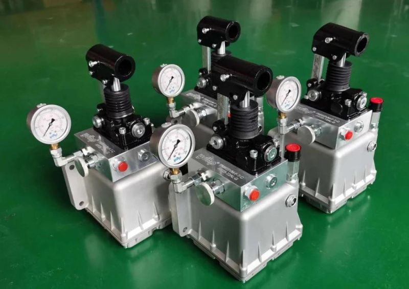 Double Acting Pumps with Relief Valve PMI Series