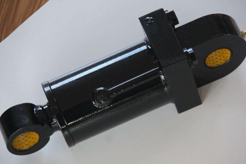 Customized Hydraulic Cylinder Single Double Action High and Low Pressure Performance High Power