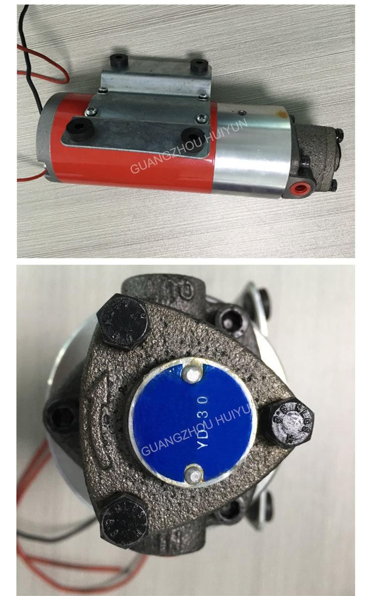 Factory Sale Electric Motor DC 12V / 24V Oil Pump Motor (D73-12100-1800)