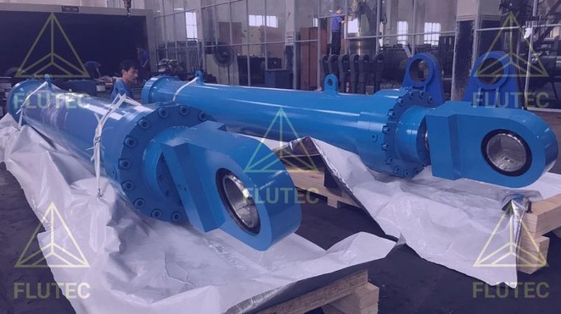 Boom Cylinder for Stacker Reclaimer Made in China