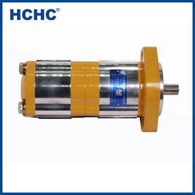 High Pressure Hydraulic Double Gear Oil Pump Hydraulic Power Unit Cbwlkg-F308/F315-Afq