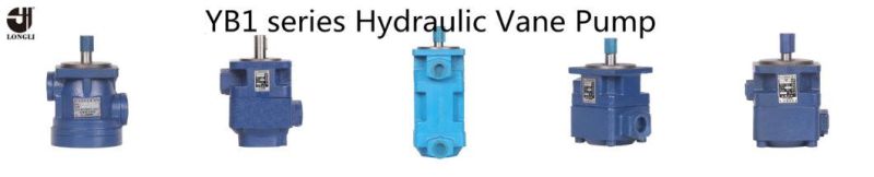 Low Pressure Hydraulic Vane Pump with Factory Price