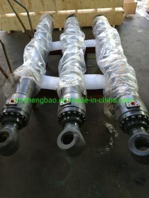 Hydraulic Excavator Cylinder for Volvo Ec210 Ec290 Ec800 Voe14563846 Voe14563880 Voe14550436 Voe14563977 Voe14598125 Voe14563968