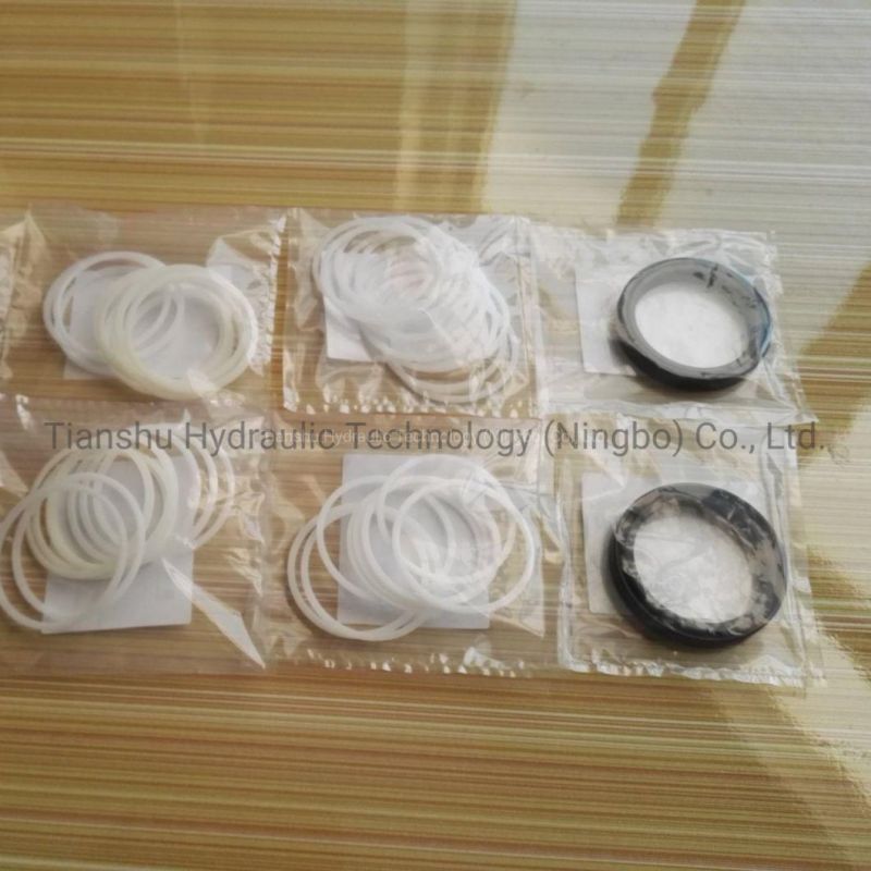 Hydraulic Fitting Seal Parts, O Ring, Piston Ring, Shaft Lip Seal for Hydraulic Hagglunds Motor.