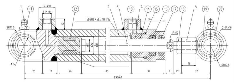 China Suppliers Hydraulic Cylinder Hsg20/14 for Garbage Truck