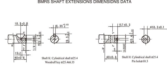 Gerotor Hydraulic Motor