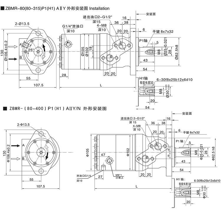 Brake Motor Hydraulic Disc Valve Motor for Crane Bmr - Bk01 Orbital Hydraulic Motor with Brake for Sale