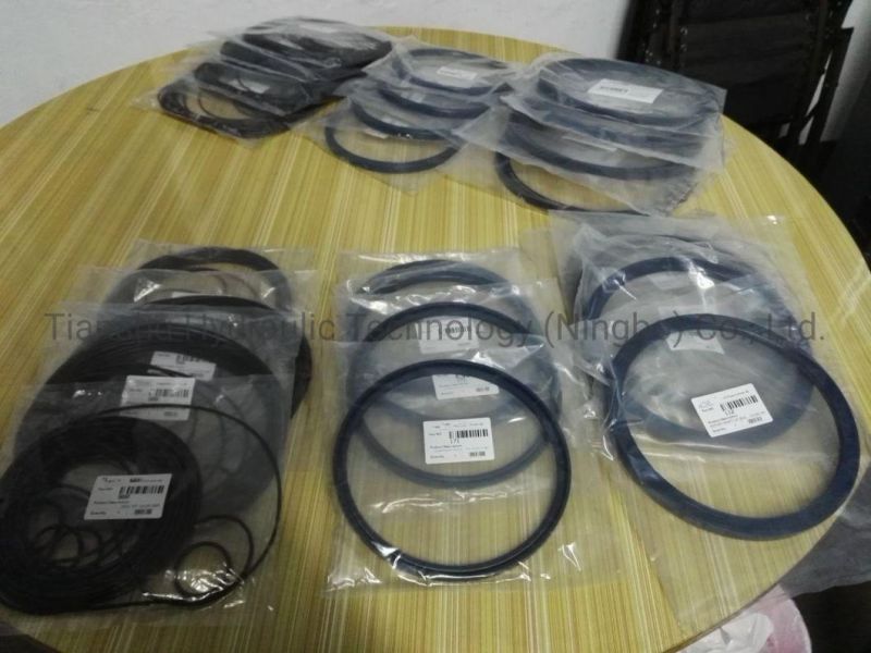 Hydraulic Motor Spare Parts Shaft Lip Seal, Piston Ring, Wearing Part, O-Ring Seal for Hagglunds Hydraulic Motor.