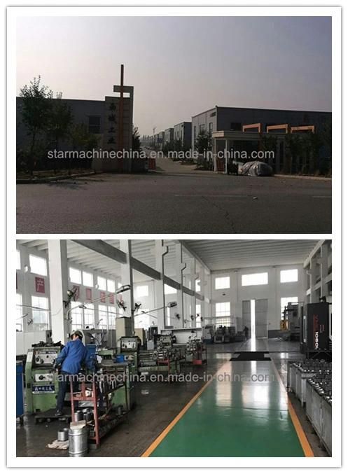 Elevator Double Acting Cylinder for Automobile Repair Shop