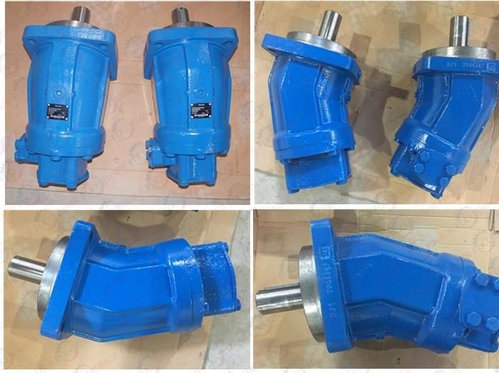 Rexroth Hydraulic Pump A2fo12 From China for Roller