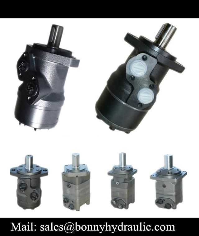 High Quality Hydraulic Motor for Direct Sale