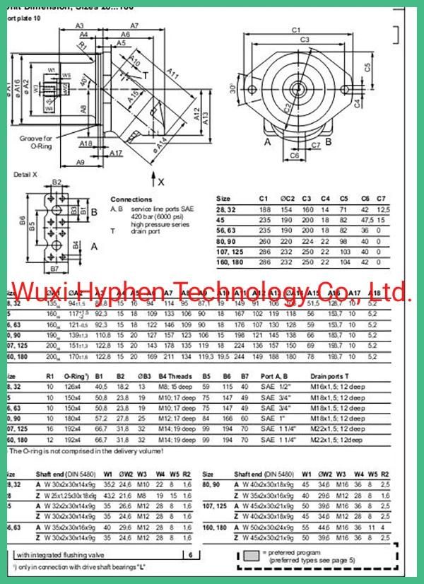Plug Motor for Road Vichile Hydraulic Motor (A2FE160)