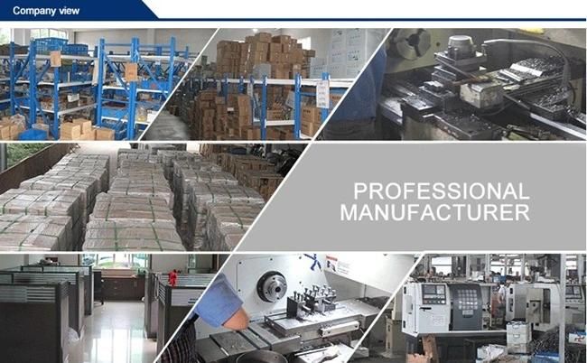Chinese Hydraulic Pipe Fittings Accessory Factory Direct Supply for Hydraulic Ferrule Fittings
