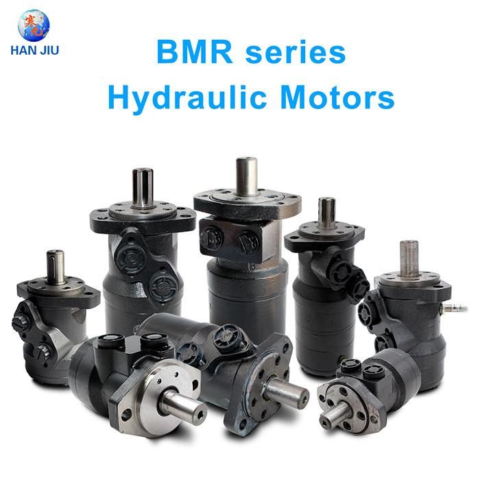 Hydraulic Motor 80cc, 100cc, 125cc, 160cc, 200cc, 250cc, 315cc, 400cc, 500cc