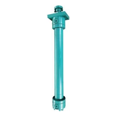 Various Mechanical Types Hydraulic Cylinder for Vehicle