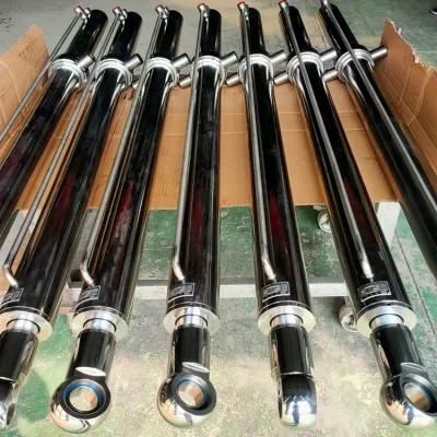 S316 S304 Stainless Steel Hydraulic Cylinders for Food and Beverage Machinery Industry