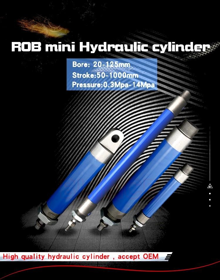 Rob Job Tube Hydraulic Cylinder, Double Shaft Oil Cylinder