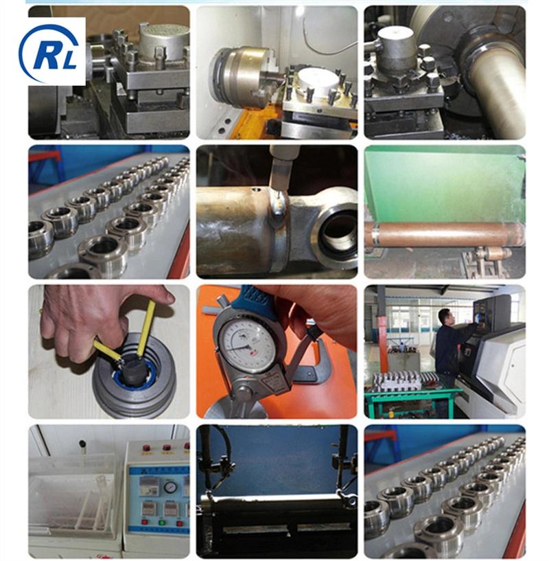Qingdao Ruilan Customize 5-500 Ton 100-500 mm Stroke Double Acting Heavy Duty Flange Hydraulic Cylinder