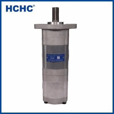 High Pressure Hydraulic Power Unit Hydraulic Double Gear Oil Pump Cbwlcq1-D320/D308-Alh