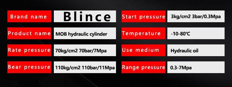 Mod Double Acting Piston Rod Hydraulic Cylinder for Forklift/Wrecker