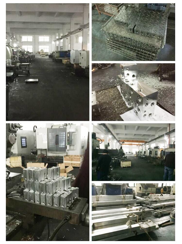 Customize Hydraulic Aluminum Manifold Block