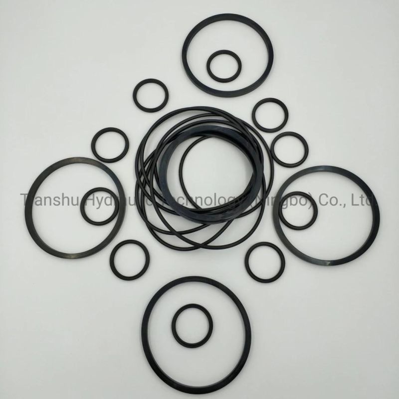 Hydraulic Spare Parts for Hugglunds Hydraulic Motor Seal Kit, Shaft Lip Seal, Wearing Part, Piston Ring, Rotator, Stator.