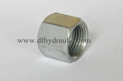 SAE Cap Nut for Adapter 0304