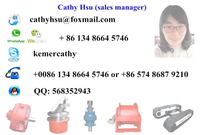 Sai Radial Piston Hydraulic Motor Sai GM Piston Motor