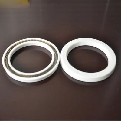 PTFE Seal Element for Hydraulic Seal