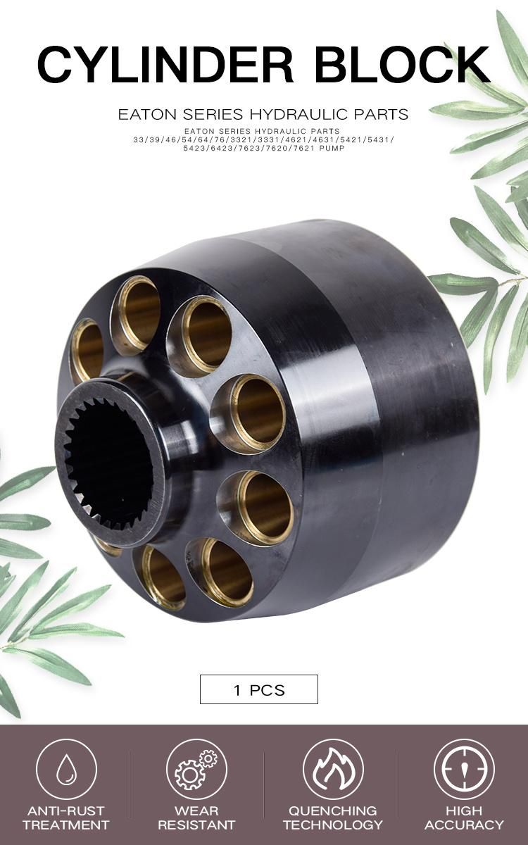 33/39/46/54/64/76/3321/3331/4621/4631/5421/5431/5423/6423/7620/7621 Hydraulic Piston Pump Parts Repair Kits - Cylinder Block with Eaton Vickers