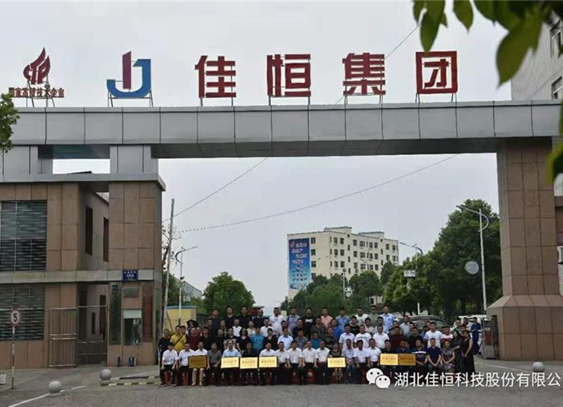 Non-Standard Jiaheng Brand Luffing Double Acting Hydraulic Cylinder for Crane Factory Direct