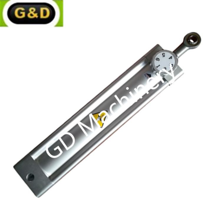 Adjustable Bidirectional Damping Hydraulic Cylinder for Fitness Equipment