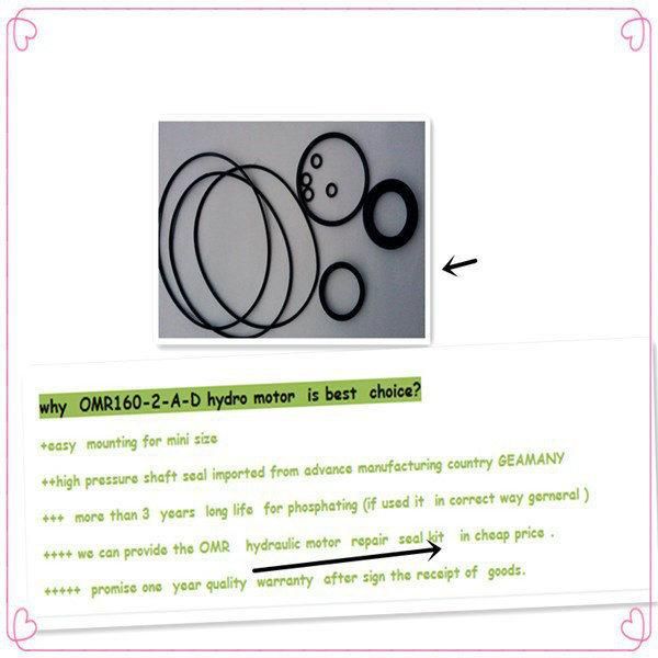 OMR 36cm3 to 375 Cm3 Hydraulic Motor