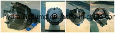 Sai Radial Piston Hydraulic Motors GM Series