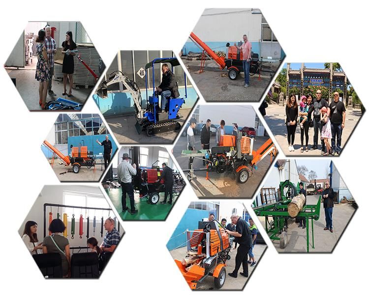 High Speed Hydraulic Motor Hydraulic Rotator Grapple/ Crane Rotator