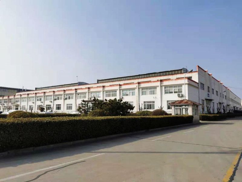 The Best Supplier in China Can Customize Hydraulic Motors Such as Bm / Omp
