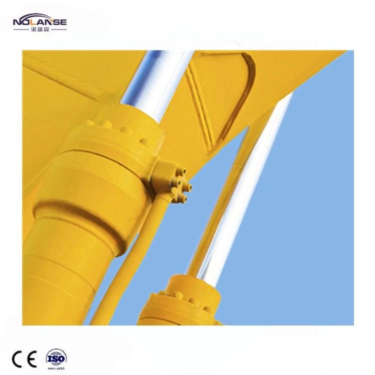 Double Acting Heavy Duyt Roundline Hydraulic Piston Hydraulic Cylinders Required for Engineering Custom Small Cranes